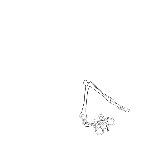 Dem bones dem bones dem – dry bones!
