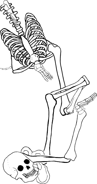 Dem bones dem bones dem – dry bones!
