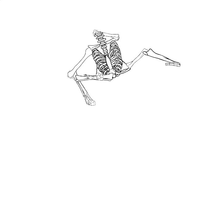 Dem bones dem bones dem – dry bones!