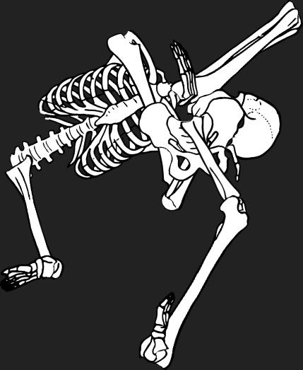 Dem bones dem bones dem – dry bones!