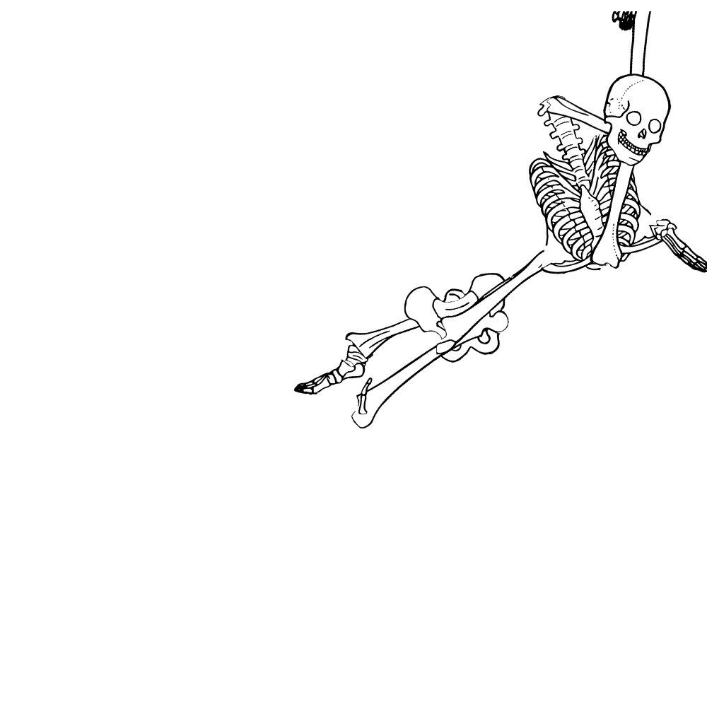 Dem bones dem bones dem – dry bones!