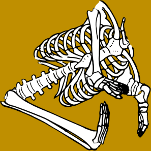 Dem bones dem bones dem – dry bones!