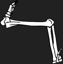 Dem bones dem bones dem – dry bones!