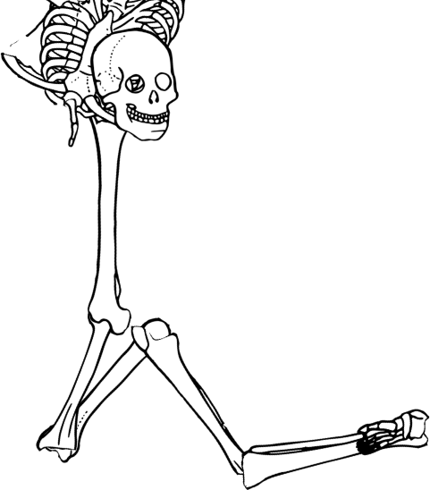 Dem bones dem bones dem – dry bones!