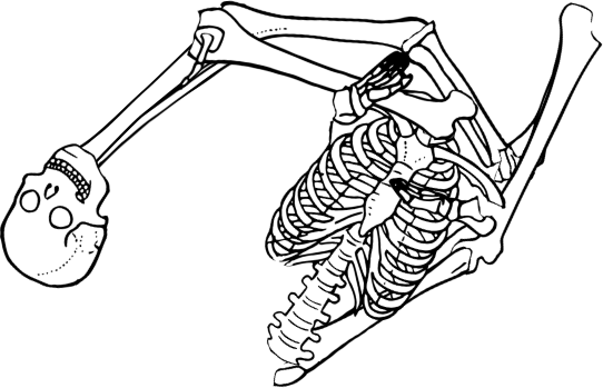 Dem bones dem bones dem – dry bones!