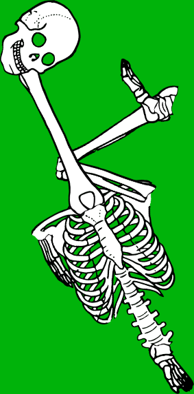 Dem bones dem bones dem – dry bones! Dem bones dem bones dem – extra bones!