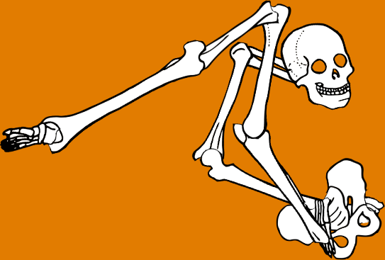 Dem bones dem bones dem – dry bones!