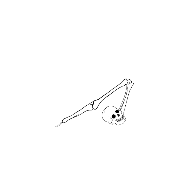 Dem bones dem bones dem – dry bones!