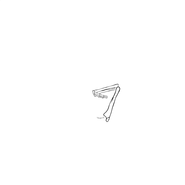 Dem bones dem bones dem – dry bones!