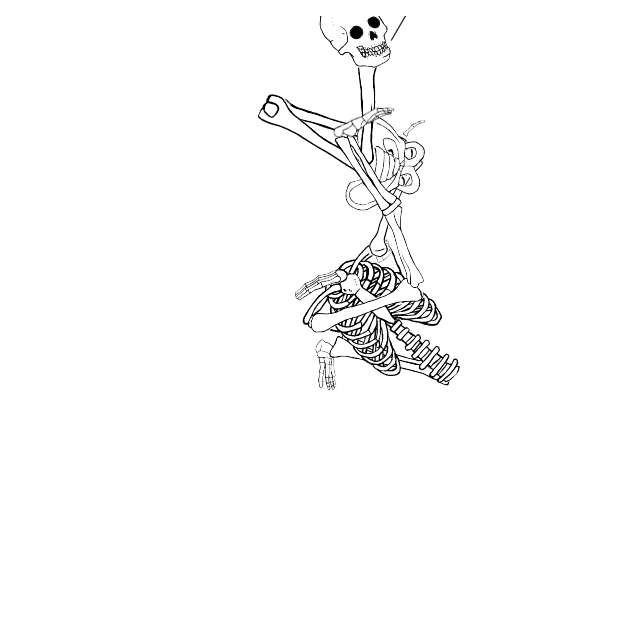 Dem bones dem bones dem – dry bones!