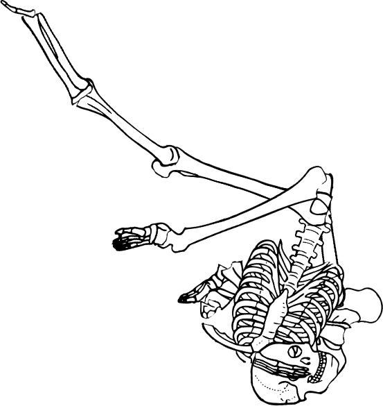 Dem bones dem bones dem – dry bones!