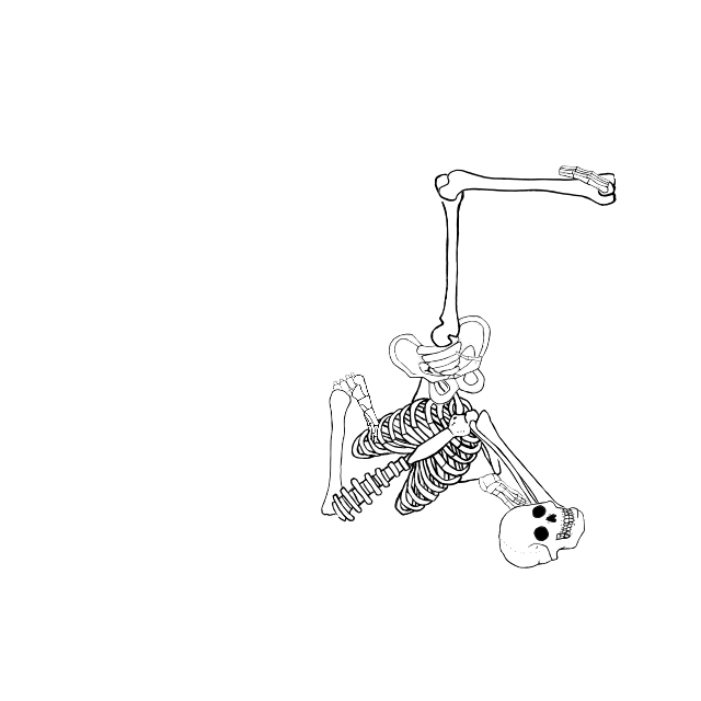 Dem bones dem bones dem – dry bones!