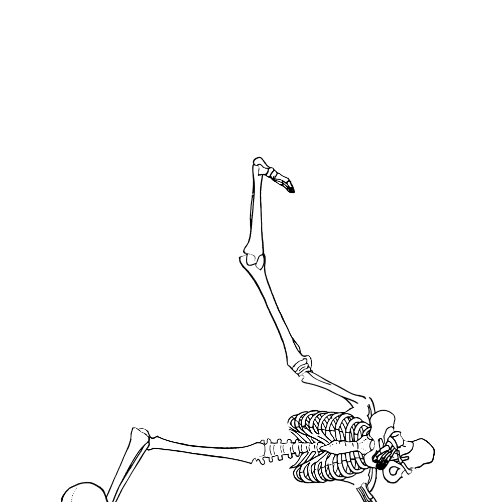 Dem bones dem bones dem – dry bones!