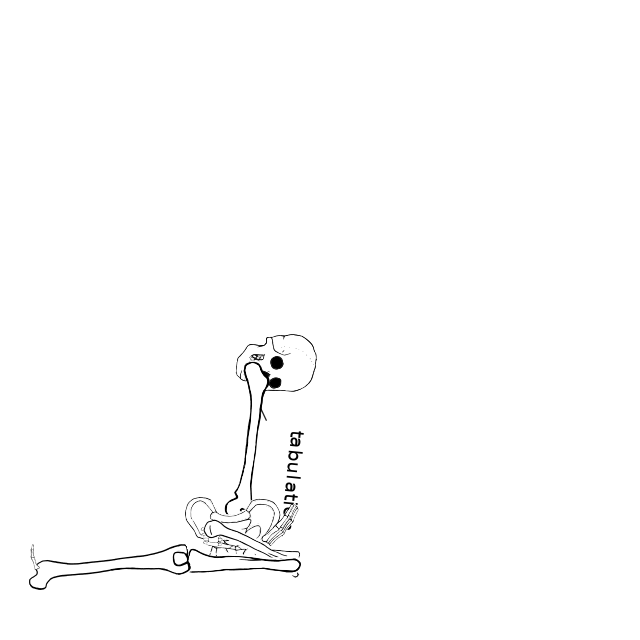 Dem bones dem bones dem – dry bones!