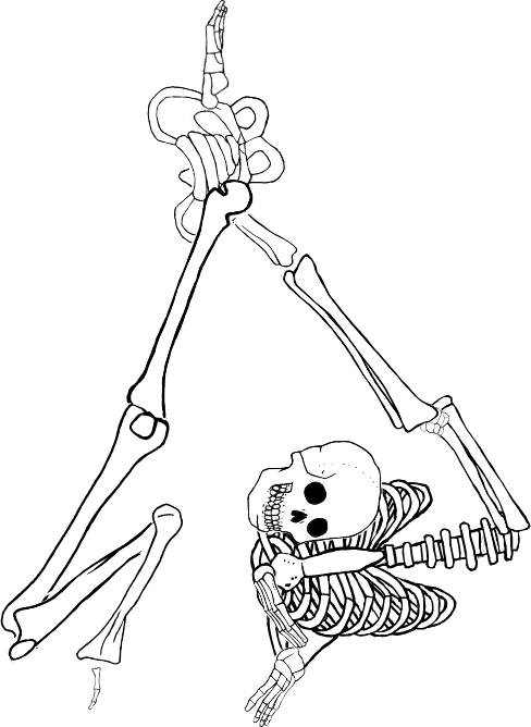Dem bones dem bones dem – dry bones!