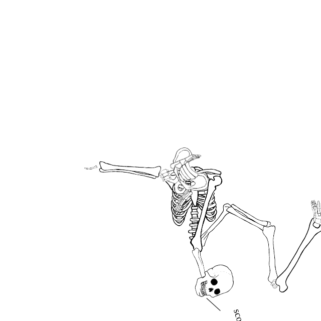 Dem bones dem bones dem – dry bones!