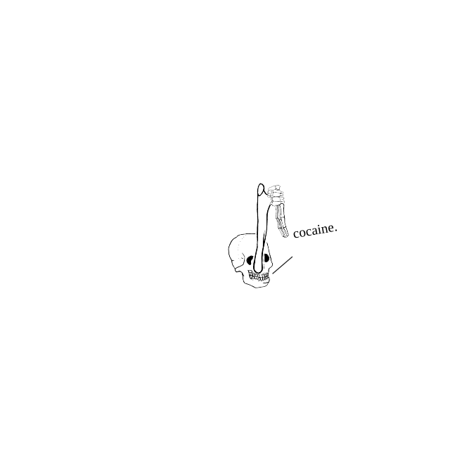 Dem bones dem bones dem – dry bones!