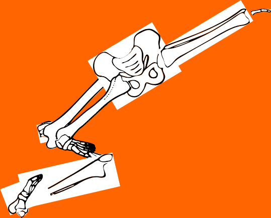 Dem bones dem bones dem – dry bones!