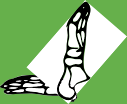 Dem bones dem bones dem – dry bones! Dem bones dem bones dem – extra bones!