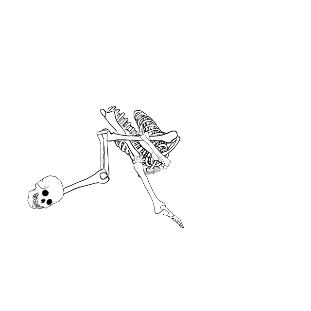 Dem bones dem bones dem – dry bones!