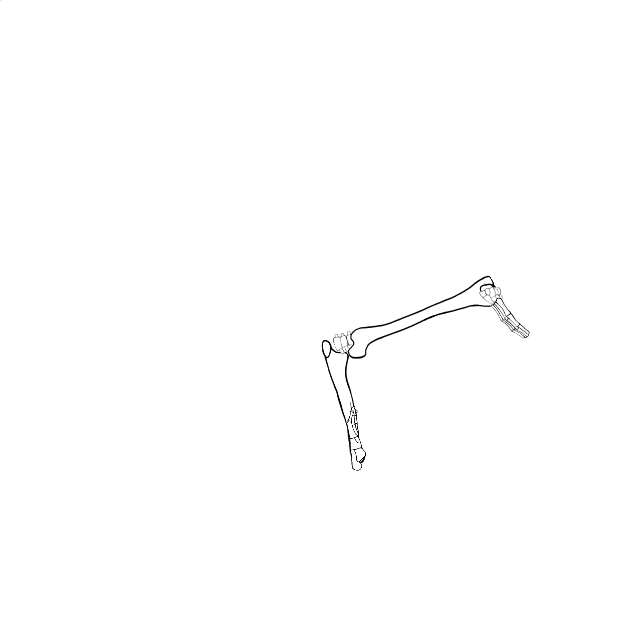 Dem bones dem bones dem – dry bones!