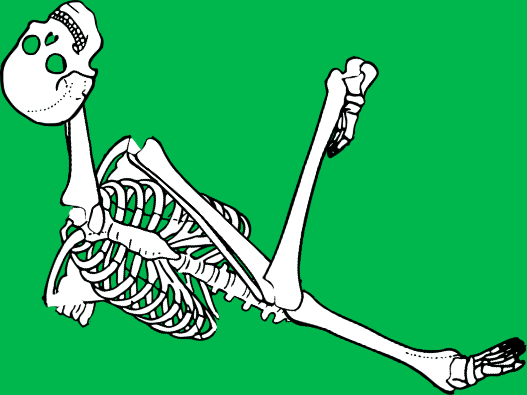 Dem bones dem bones dem – dry bones!