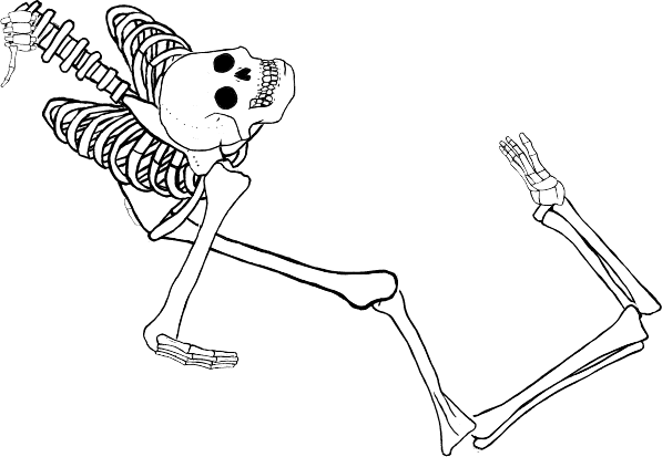 Dem bones dem bones dem – dry bones!