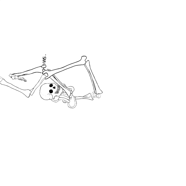 Dem bones dem bones dem – dry bones!