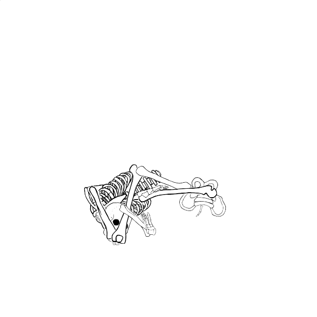 Dem bones dem bones dem – dry bones!