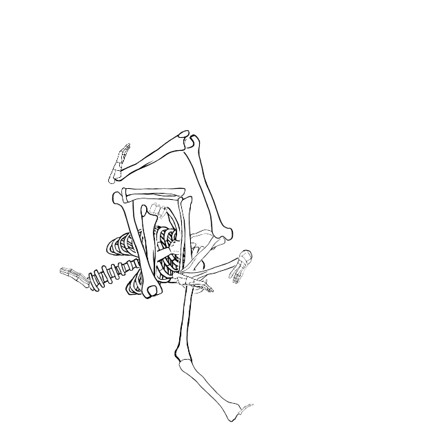 Dem bones dem bones dem – dry bones!