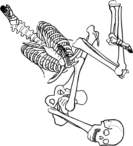 Dem bones dem bones dem – dry bones!