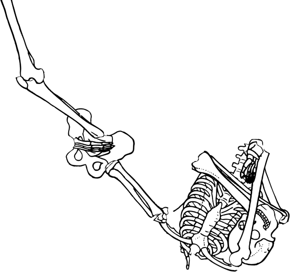 Dem bones dem bones dem – dry bones!