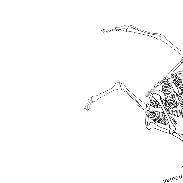 Dem bones dem bones dem – dry bones!