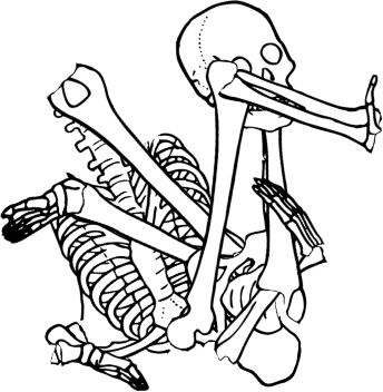 Dem bones dem bones dem – dry bones!