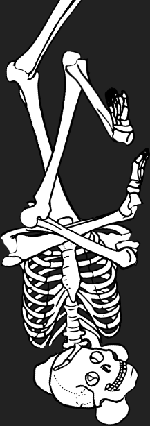 Dem bones dem bones dem – dry bones!