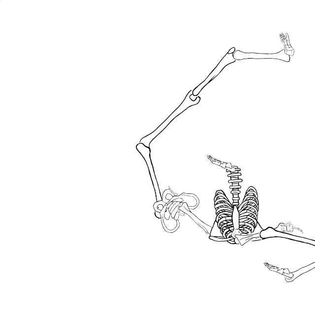 Dem bones dem bones dem – dry bones!