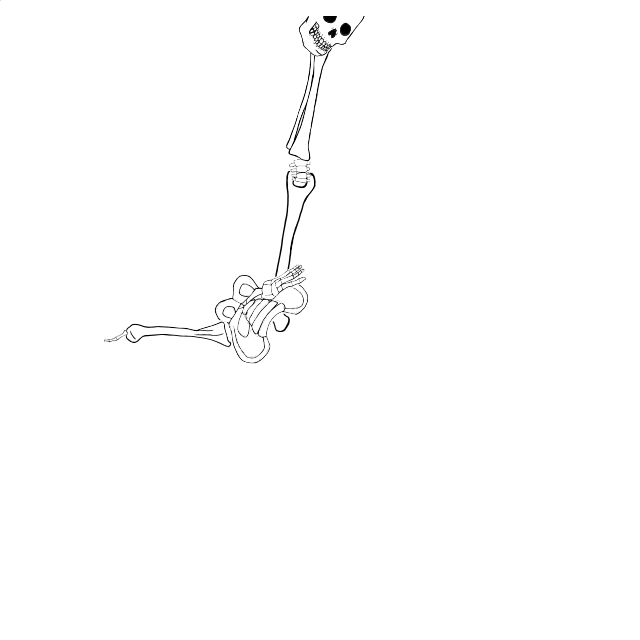 Dem bones dem bones dem – dry bones!