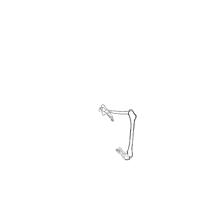 Dem bones dem bones dem – dry bones!