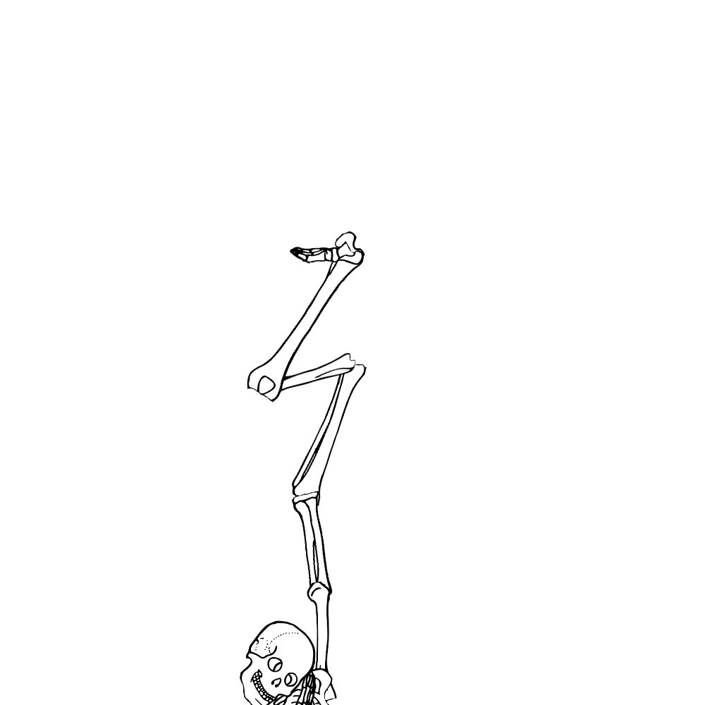 Dem bones dem bones dem – dry bones!