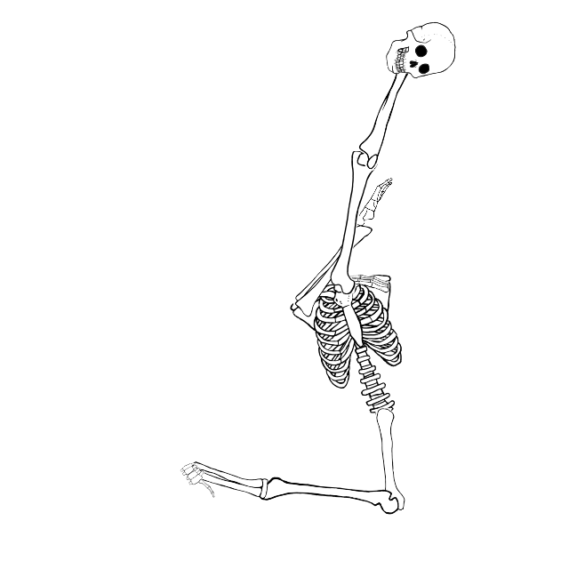 Dem bones dem bones dem – dry bones!