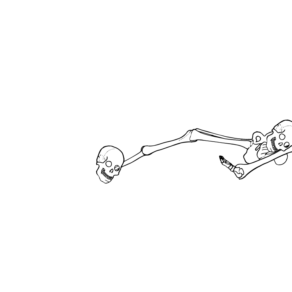 Dem bones dem bones dem – dry bones! Dem bones dem bones dem – extra bones!