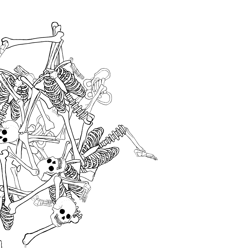 Dem bones dem bones dem – dry bones!