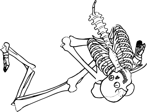 Dem bones dem bones dem – dry bones!