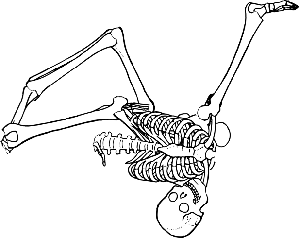 Dem bones dem bones dem – dry bones!