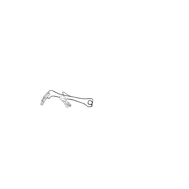 Dem bones dem bones dem – dry bones!
