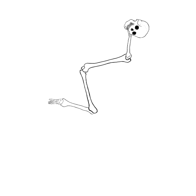 Dem bones dem bones dem – dry bones!