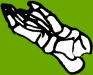Dem bones dem bones dem – dry bones!