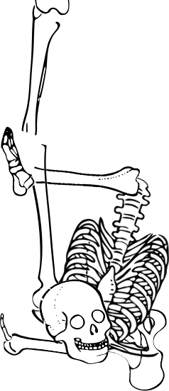 Dem bones dem bones dem – dry bones!