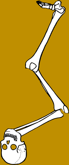 Dem bones dem bones dem – dry bones!
