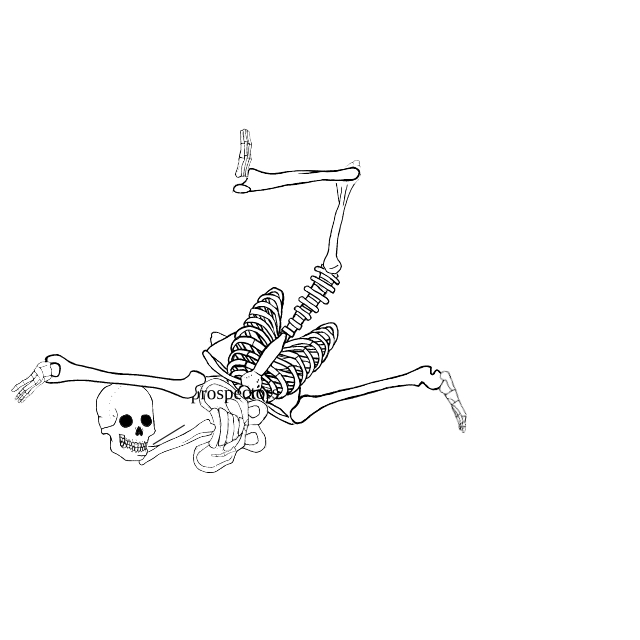 Dem bones dem bones dem – dry bones!